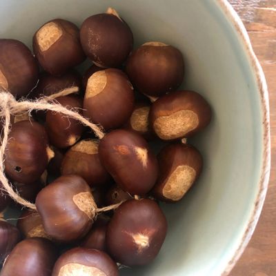 Decorative Dried Chestnuts Set of 30