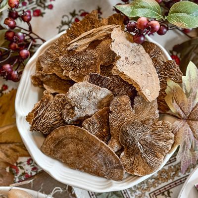 Decorative Dried Sponge Mushrooms Bag of 48