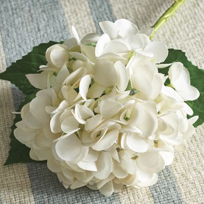 Decorative Garden Cut Hydrangea Stem