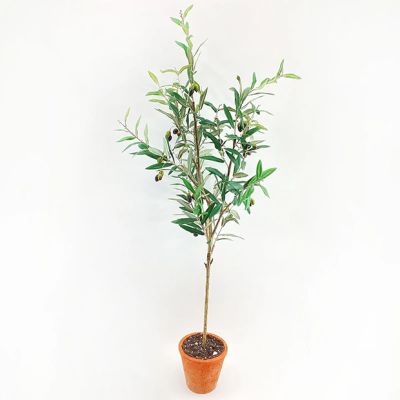 Decorative Marketplace Olive Tree