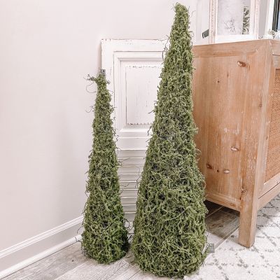 Decorative Moss Tree Set of 2