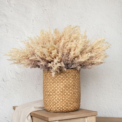 Decorative Pampas Grass Bundle