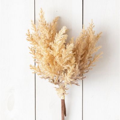 Decorative Plume Bunch
