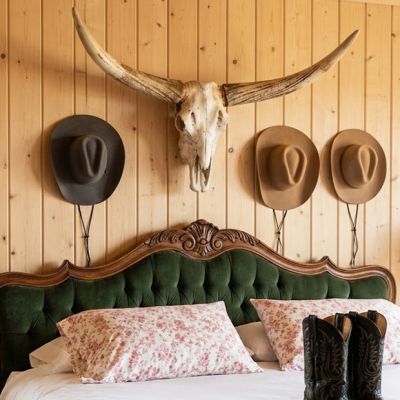 Decorative Steer Skull