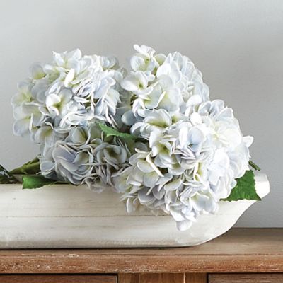 Delicate Light Blue Hydrangea Stem