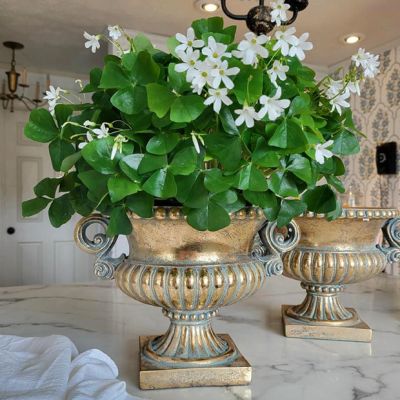 Double Handle Pedestal Urn