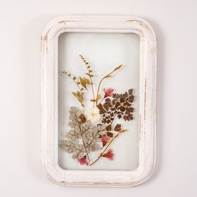 Dried Botanicals Framed Wall Decor