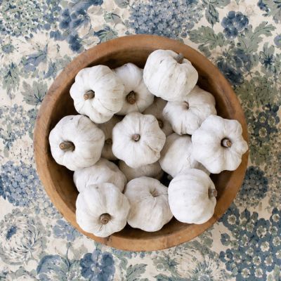 Dried Decorative Mini Pumpkins Set of 15 White
