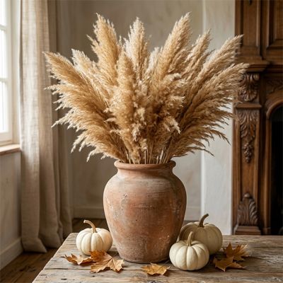 Dried Tan Pampas Grass Stem