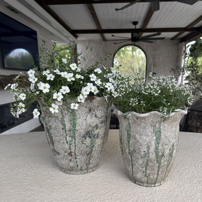 Du Monde French Planter Pot 10.5 Inch