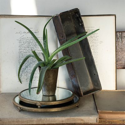 Elegant Accents Footed Vanity Tray