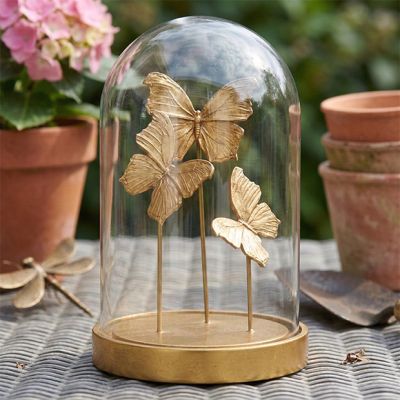 Elegant Butterflies Cloche Display