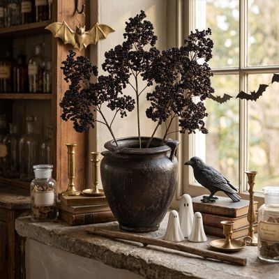 Enchanted Elderberry Stem