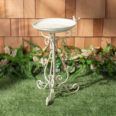 Enchanting Scrolled Bird Bath
