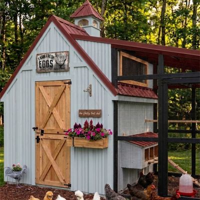 Farm Fresh Eggs Chicken Canvas Wall Sign