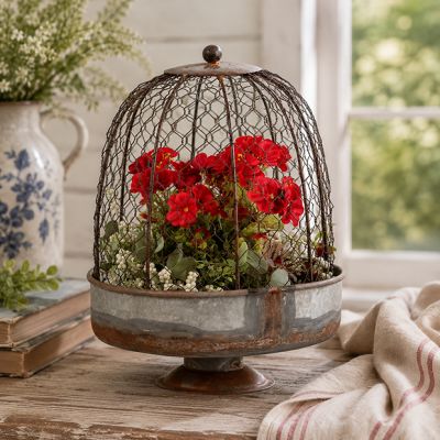 Farmhouse Chicken Wire Dome Planter