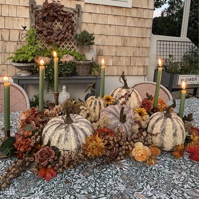 Farmhouse Pumpkin Collection Set of 5