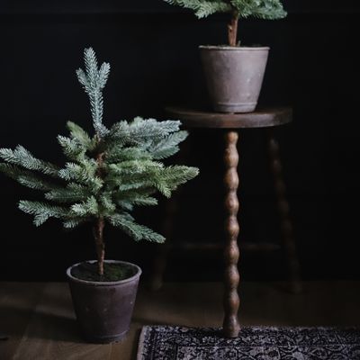 Faux Blue Spruce In Cement Pot 24.5 Inch