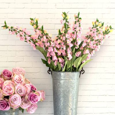 English Foxglove Stem Set of 2