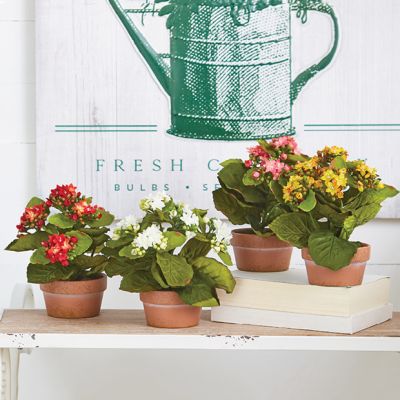 Faux Kalanchoe With Pot Set of 4