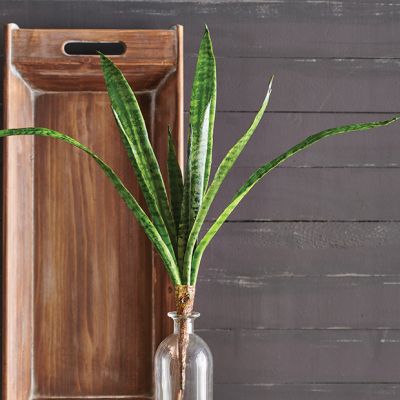 Faux Snake Plant Stem