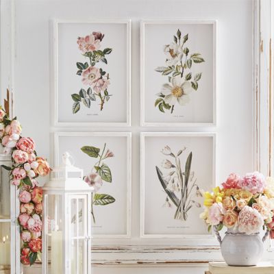 Fir Wood Framed Botanical Art Set of 4