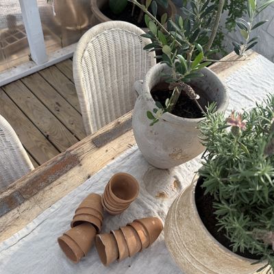 Found Terra Cotta Mini Pot Set of 16