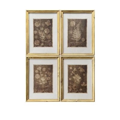 Framed Botanical Impressions Set of 4