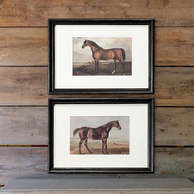 Framed Equestrian Prints Set of 2