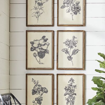 Framed Floral Print Collection Set of 6