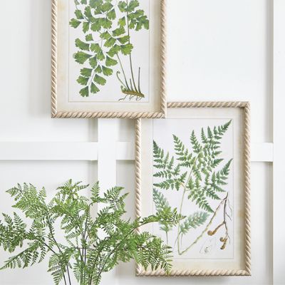 Framed Greenery Print Set of 2