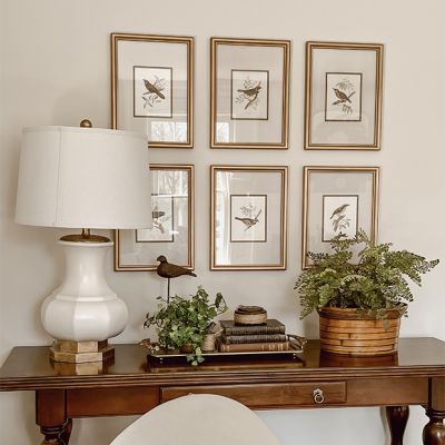 Framed Perched Bird Collection Set of 6