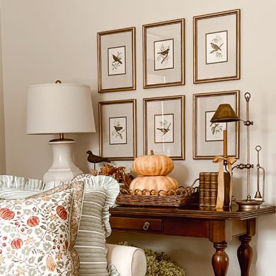 Framed Perched Bird Collection Set of 6
