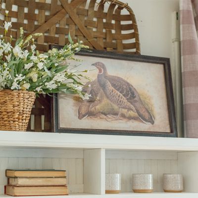 Framed Pheasant Prints Set of 2
