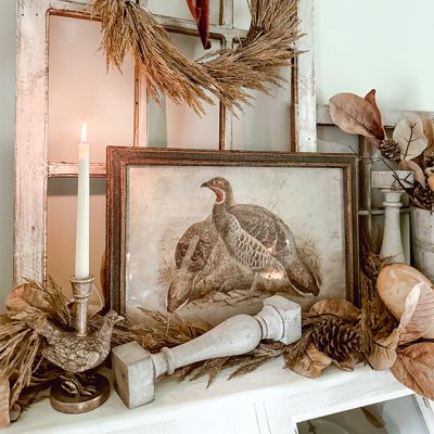 Framed Pheasant Prints Set of 2