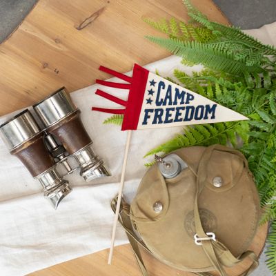 Freedom Camp Mini Pennant Flag Set of 6