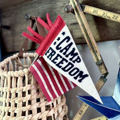 Freedom Camp Mini Pennant Flag