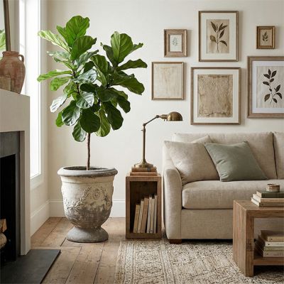 French Provincial Aged Planter