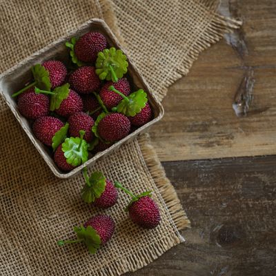 Fresh Market Faux Raspberry Filled Carton Set of 2