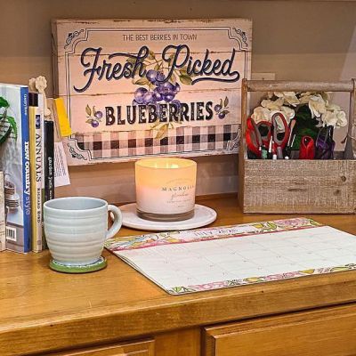 Fresh Picked Blueberries Canvas Wall Art