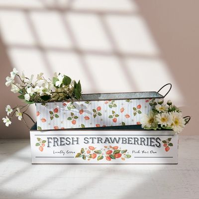 Fresh Strawberries Galvanized Bin Set of 2