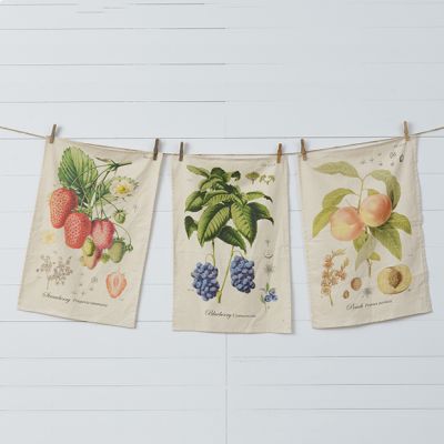 Freshly Picked Fruit Tea Towel Collection Set of 3