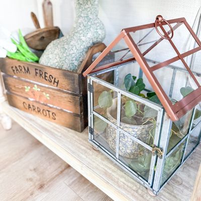 Galvanized Frame Farmhouse Terrarium Set of 2