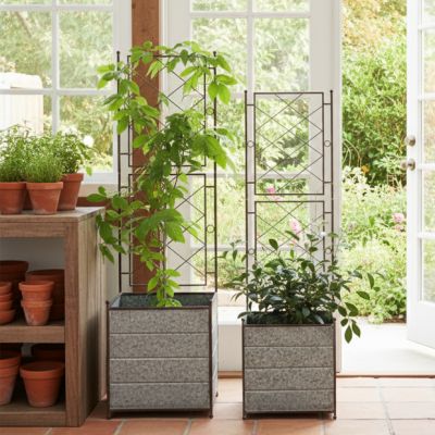 Galvanized Metal Planter With Trellis Set of 2