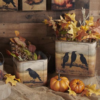 Galvanized Square Raven Bin Set of 2