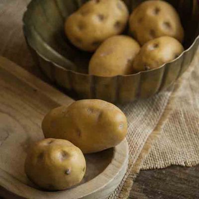 Garden Harvest Bag of Faux Potatoes Set of 2
