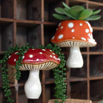 Garden Toadstool Wall Planters Set of 2