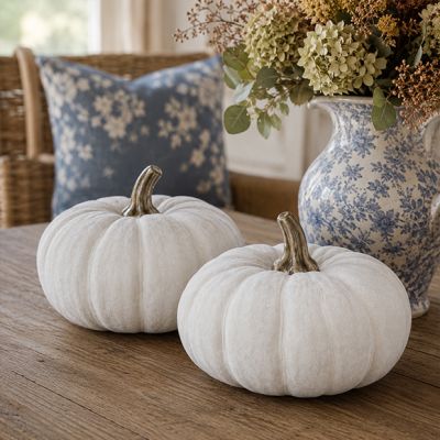 Gathered Harvest White Ceramic Pumpkin Set of 2