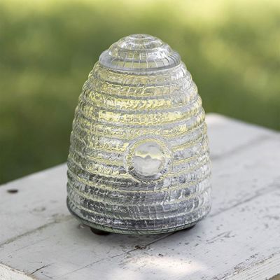 Glass Beehive Fly Trap
