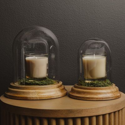 Glass Bell Cloche on Wood Base Set of 2